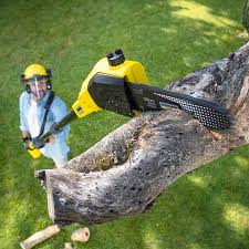 Best Pest Control for Lawns  in Madison Heights, VA