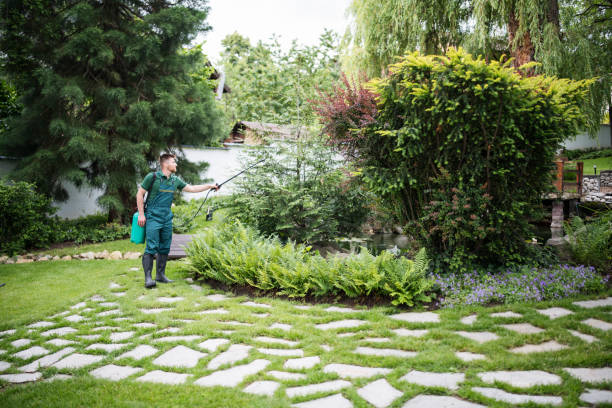 Best Lawn Pest Prevention  in Madison Heights, VA